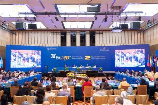 FAO Asia-Pacific Conference Focuses on “Resilience from Within”